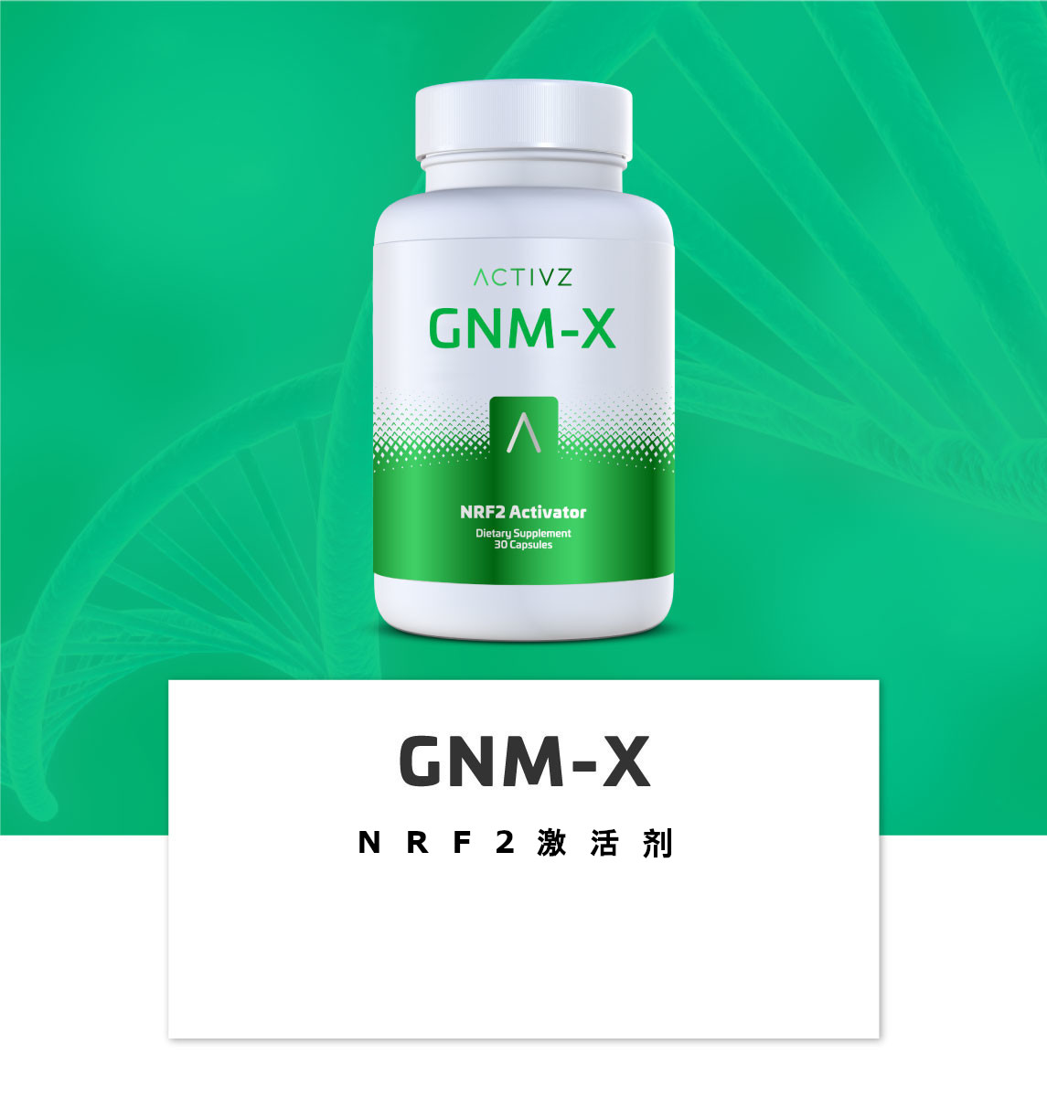 gnmx